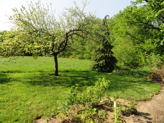 Proche Epône