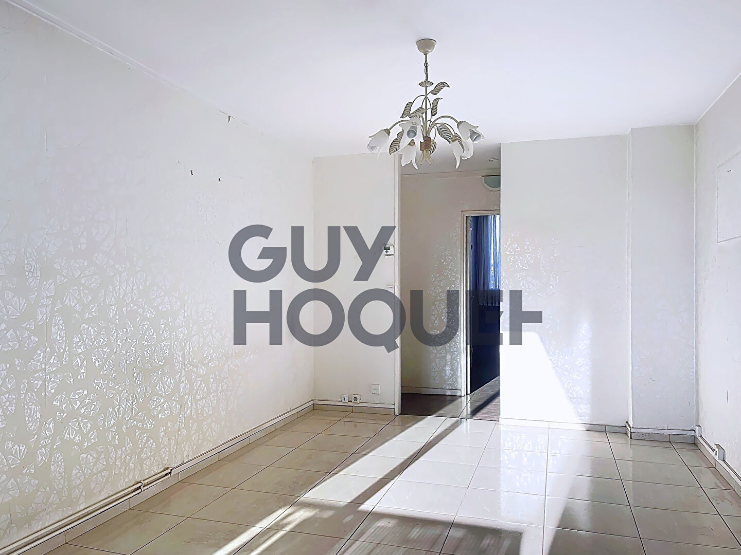 Appartement Vitry Sur Seine 3 pièces