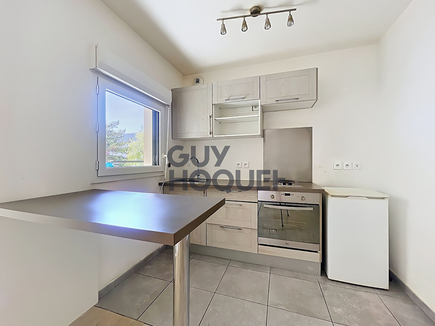 Appartement Choisy Le Roi 1 pièce 33 m2