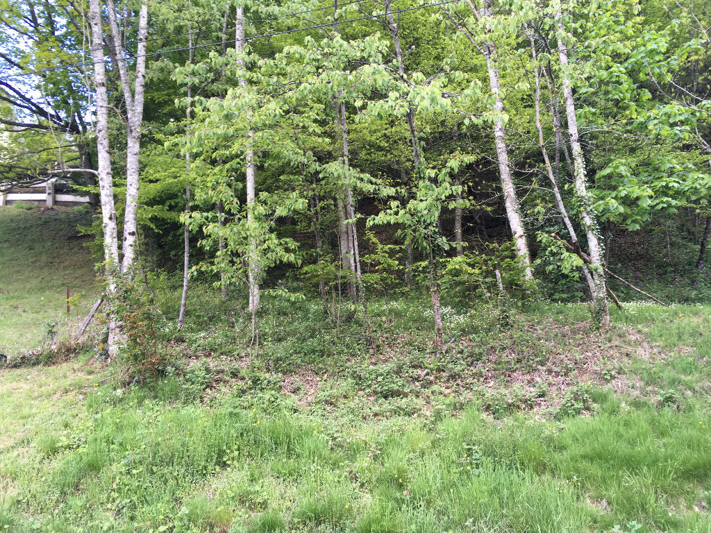 Terrain Bourbach Le Haut 2904 m2