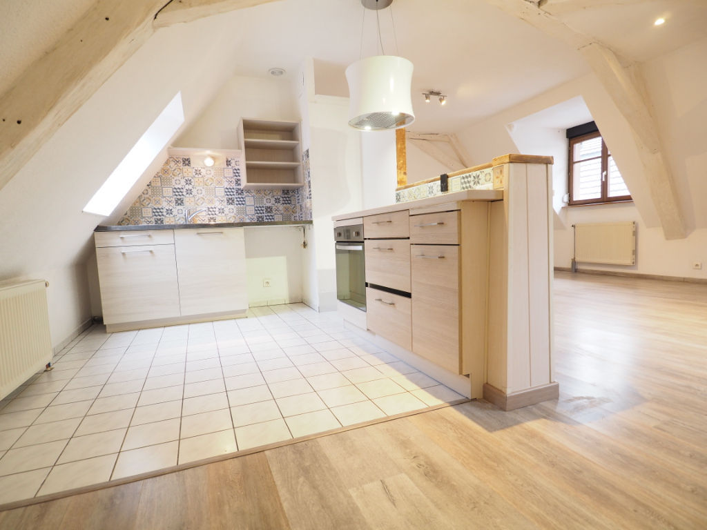 Appartement rénové de 2 pièces avec Mezzanine à louer à SOULTZ (68360).