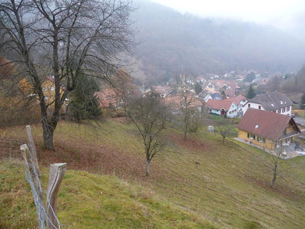 Terrain/Terre
