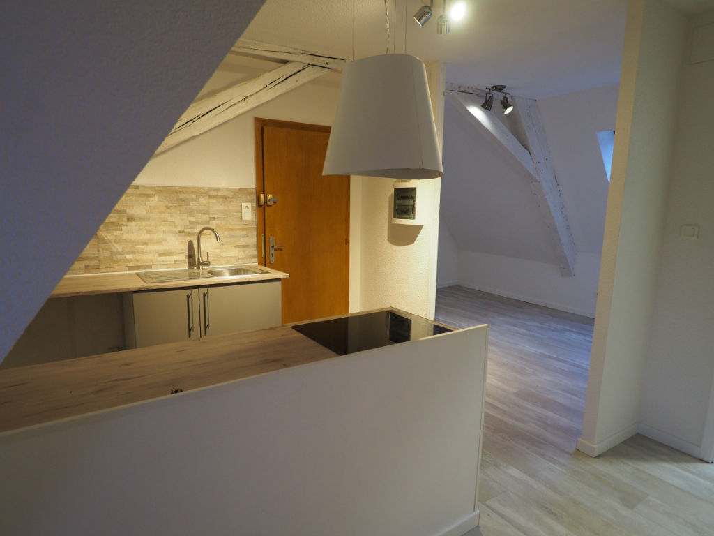 Appartement 1 pièce avec mezzanine à louer à Soultz (68360)