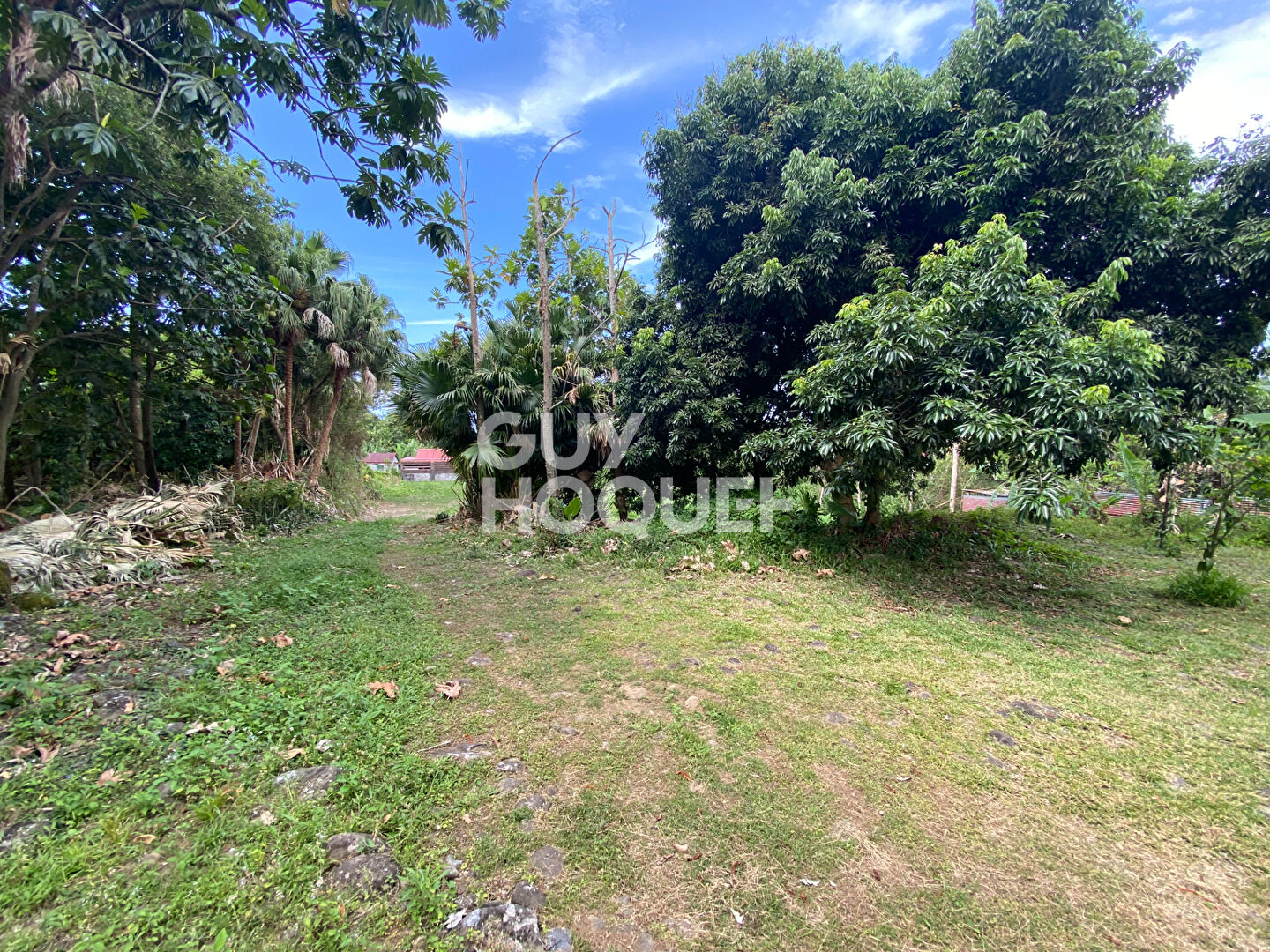 Exclusivité Terrain Sainte-Anne 507 m2 constructibles
