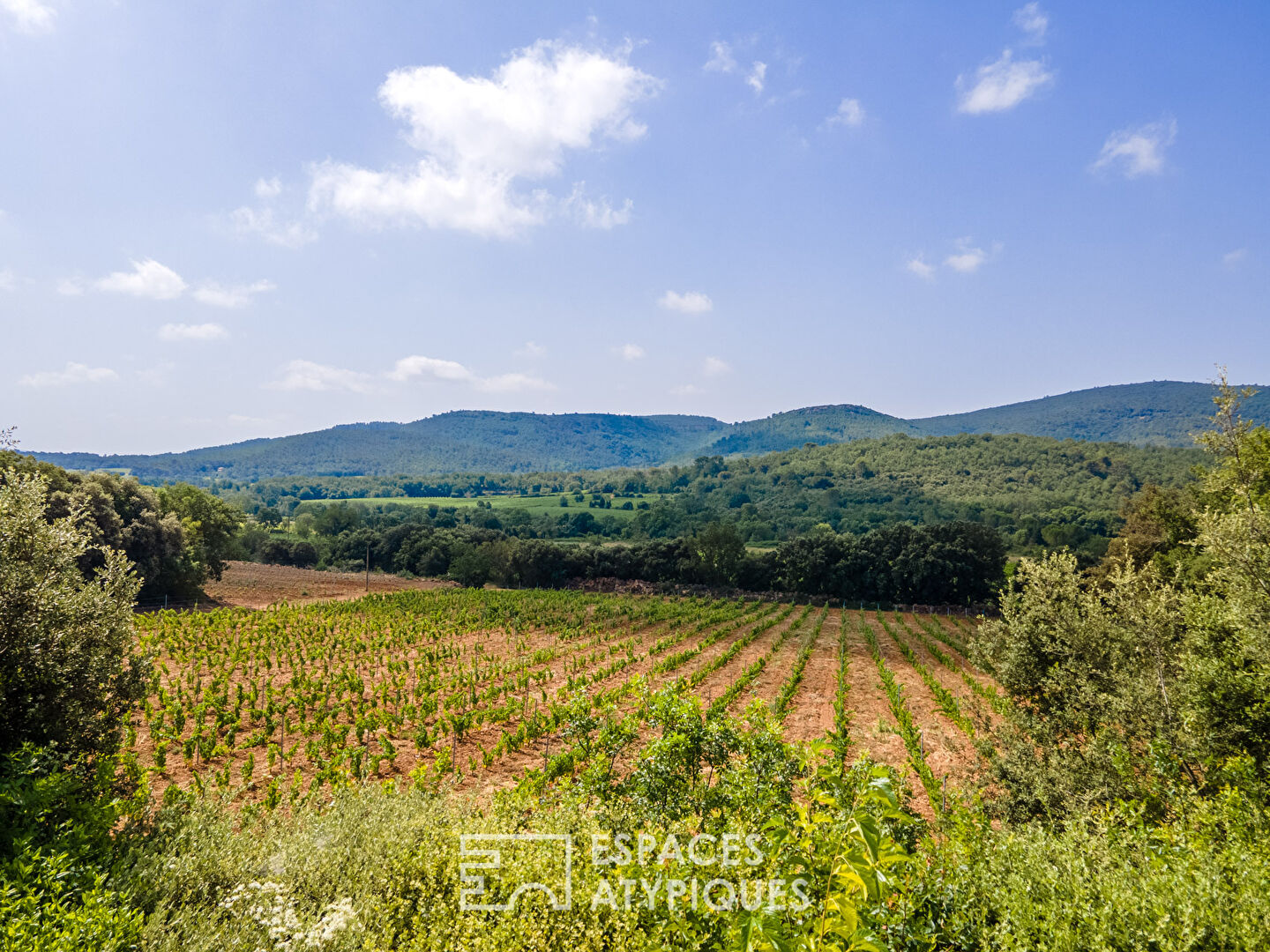 Photo Villa au coeur de la campagne provençale image 4/6