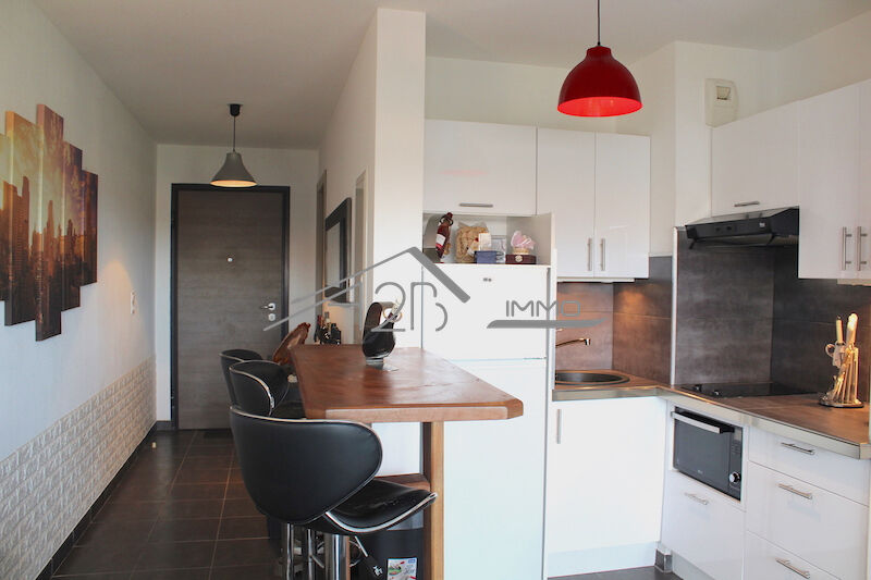 Photo T2 Meuble Furiani Terrasse Parking image 1/6