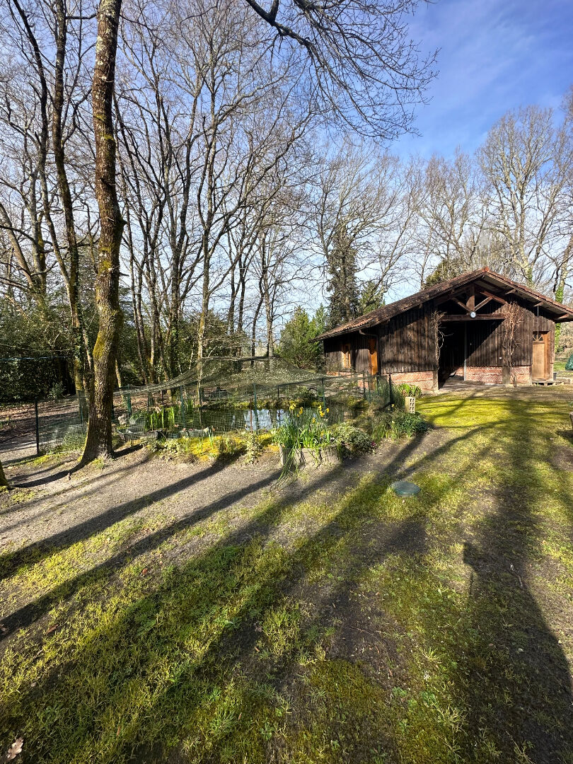 Photo FUSTE Commensacq 5 pièce(s) 158 m2 image 3/6