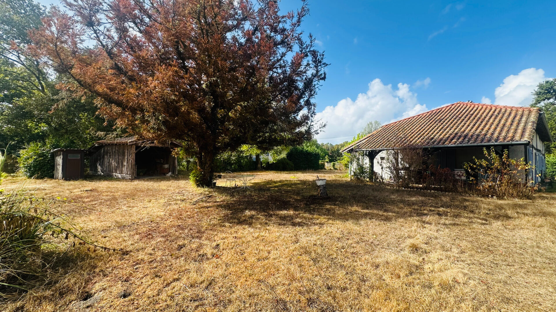 Photo Maison  6 pièce(s) 147 m2 image 5/6