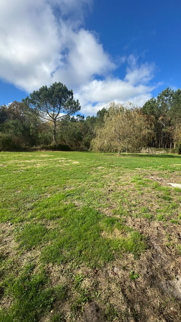 Photo Maison Moustey 5 pièce(s) 105 m2 image 4/6