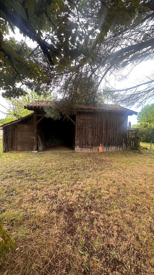 Photo Maison Pissos 4 pièce(s) 85 m2 image 4/4