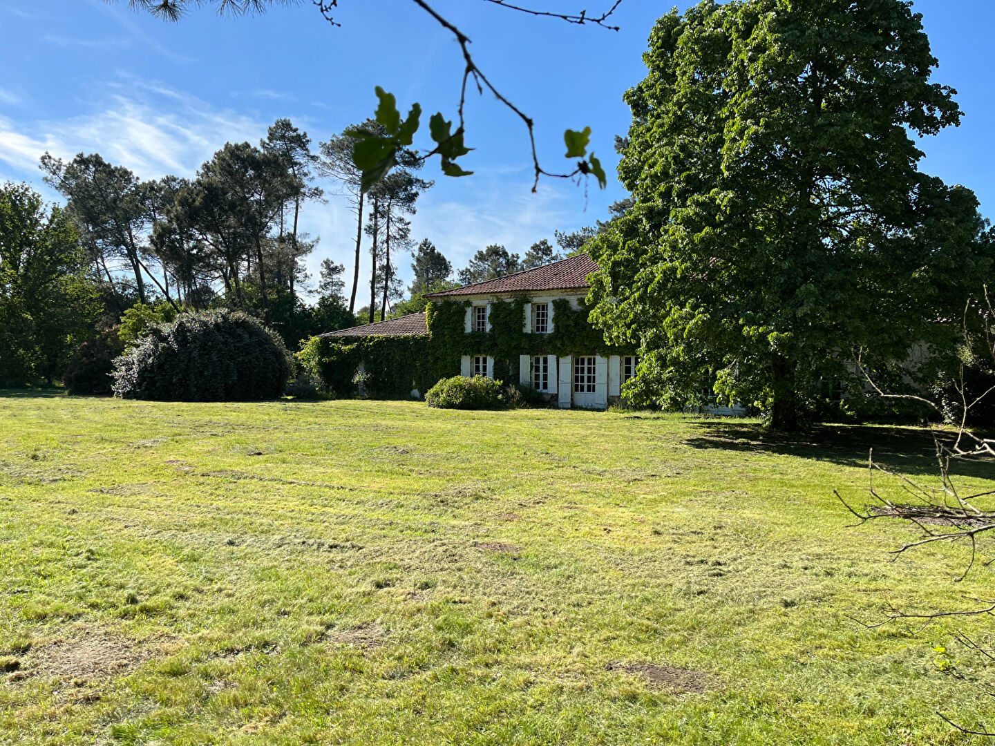 Agence immobilière de AB'IMMO Pissos - AB'IMMO