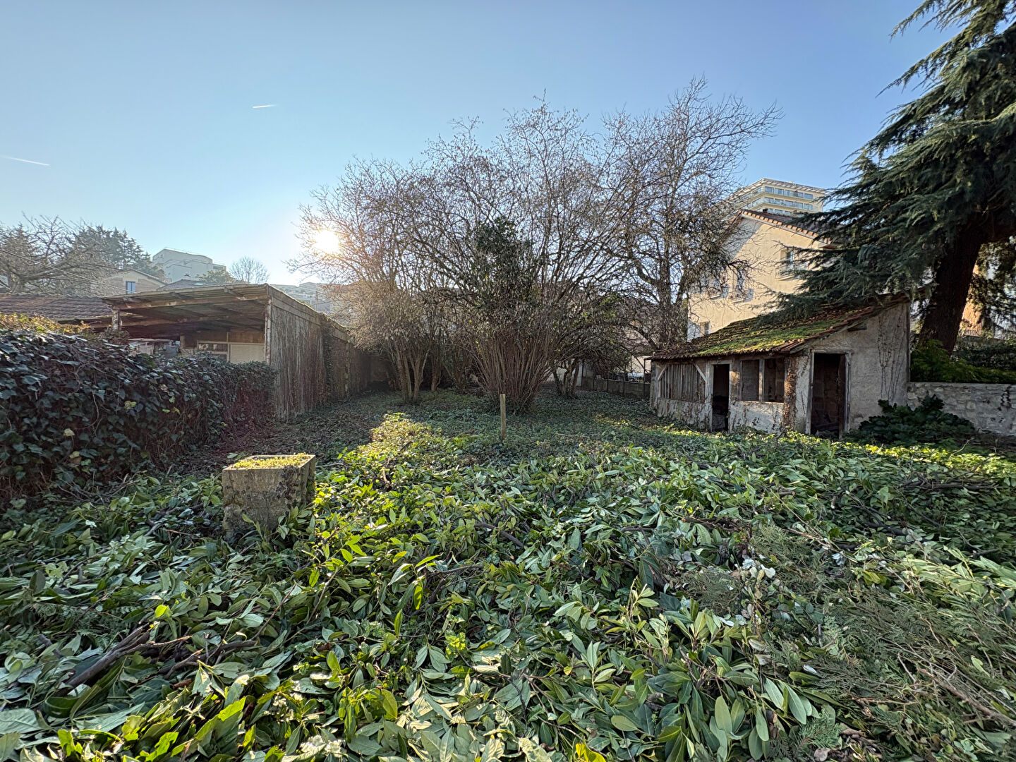 Photo Terrain Chatillon 486 m2 image 1/6