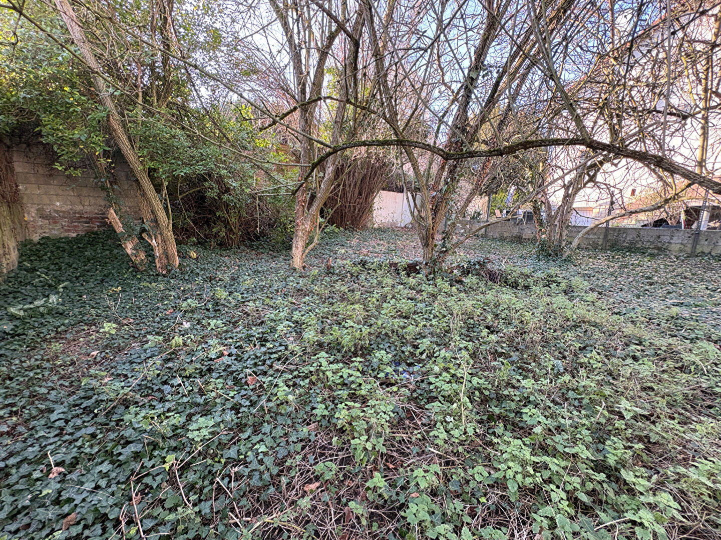 Photo Terrain Chatillon 486 m2 image 4/6