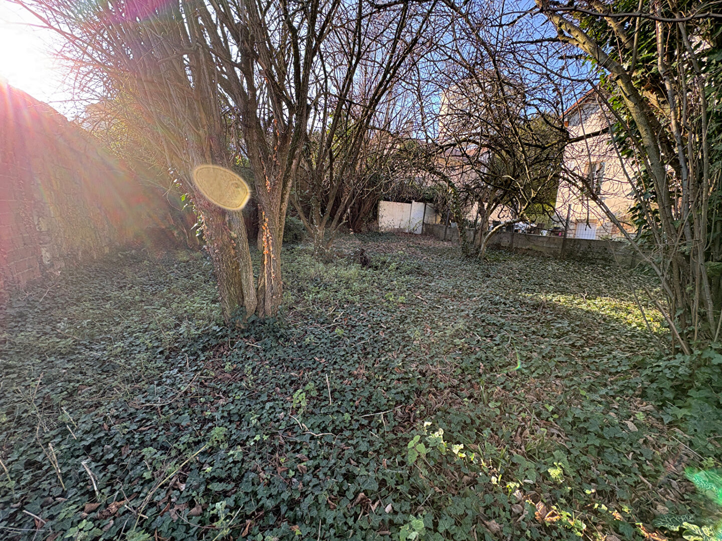 Photo Terrain Chatillon 486 m2 image 6/6