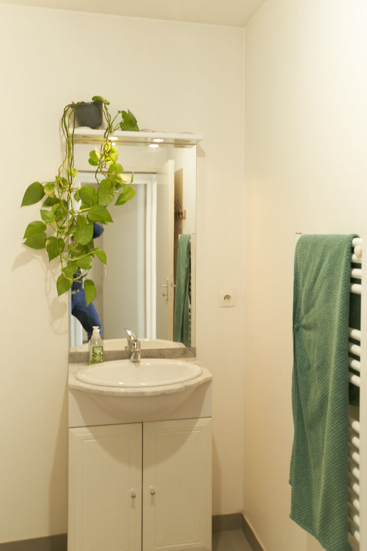 Photo Gustave Eiffel - Grand T2 traversant image 6/6