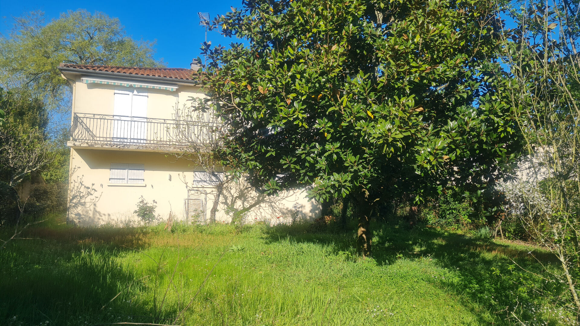 Agence immobilière de ACTIA CONCEPT Bordeaux - ACTIA CONCEPT