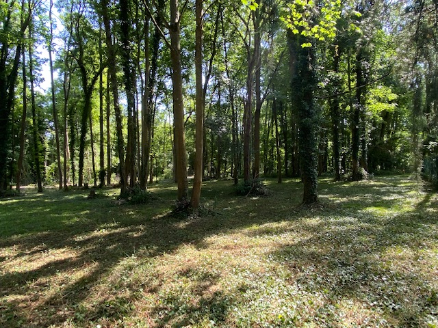 Photo Terrain Lésigny de 2 490 M² image 5/6