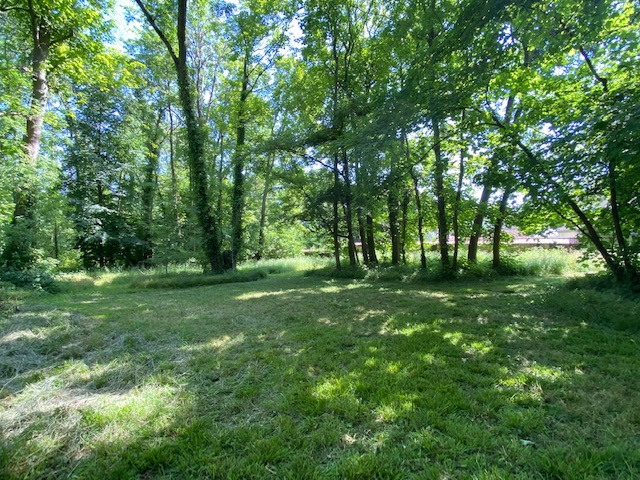 Photo Terrain Lésigny de 2 490 M² image 6/6