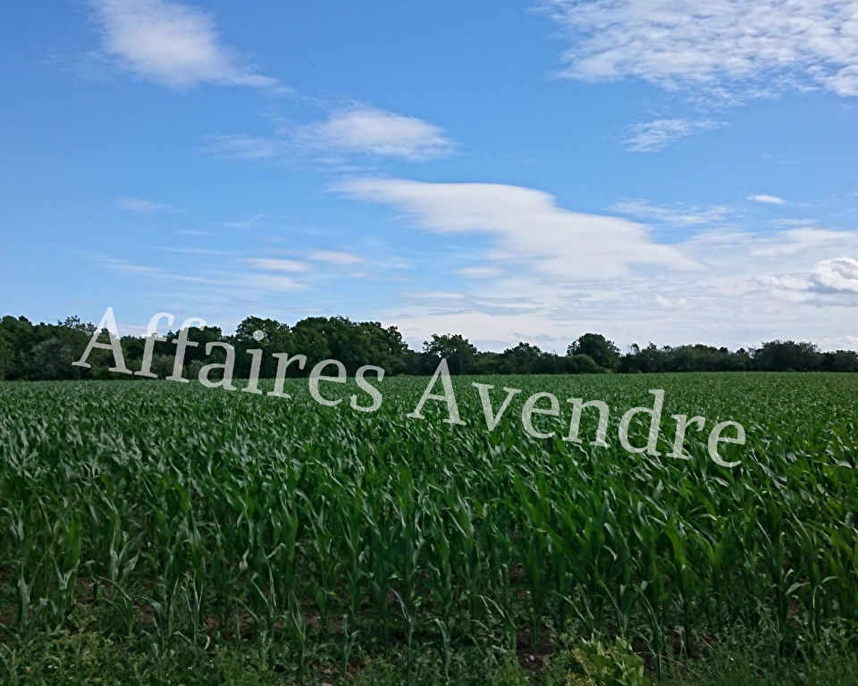 Agence immobilière de AFFAIRES-AVENDRE Quimper
