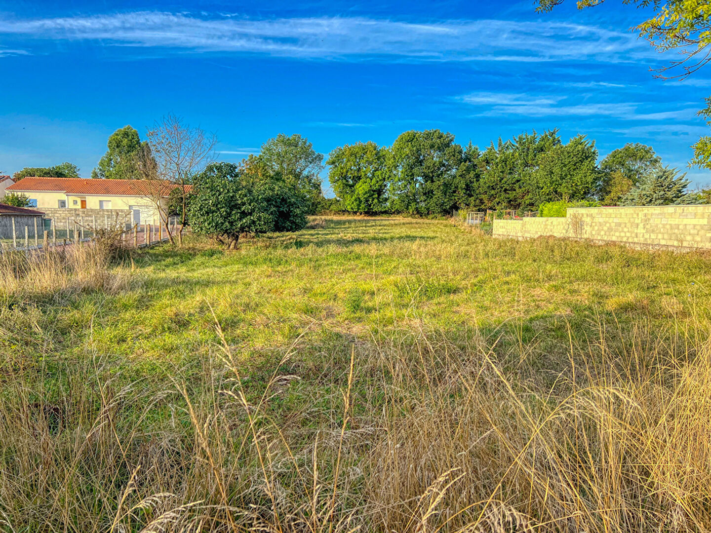 Agence immobilière de AGENCE DES TILLEULS Royan