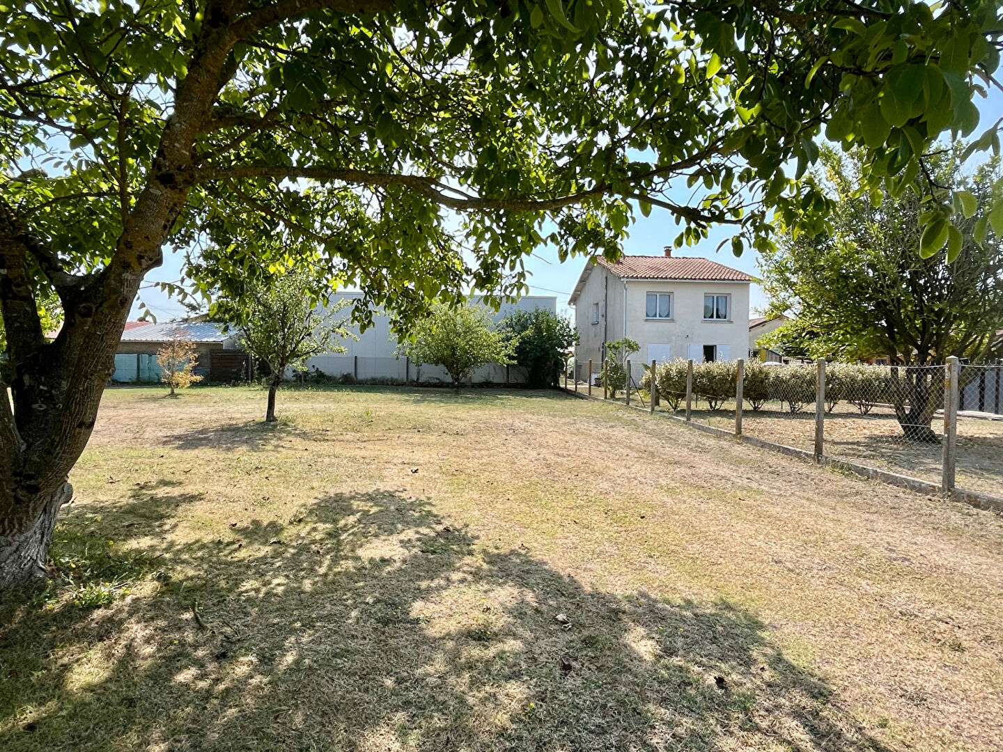 Agence immobilière de AGENCE DES TILLEULS Royan