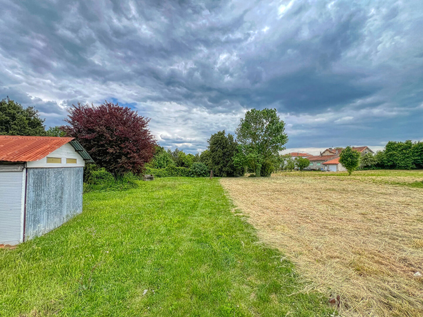 Agence immobilière de AGENCE DES TILLEULS Royan