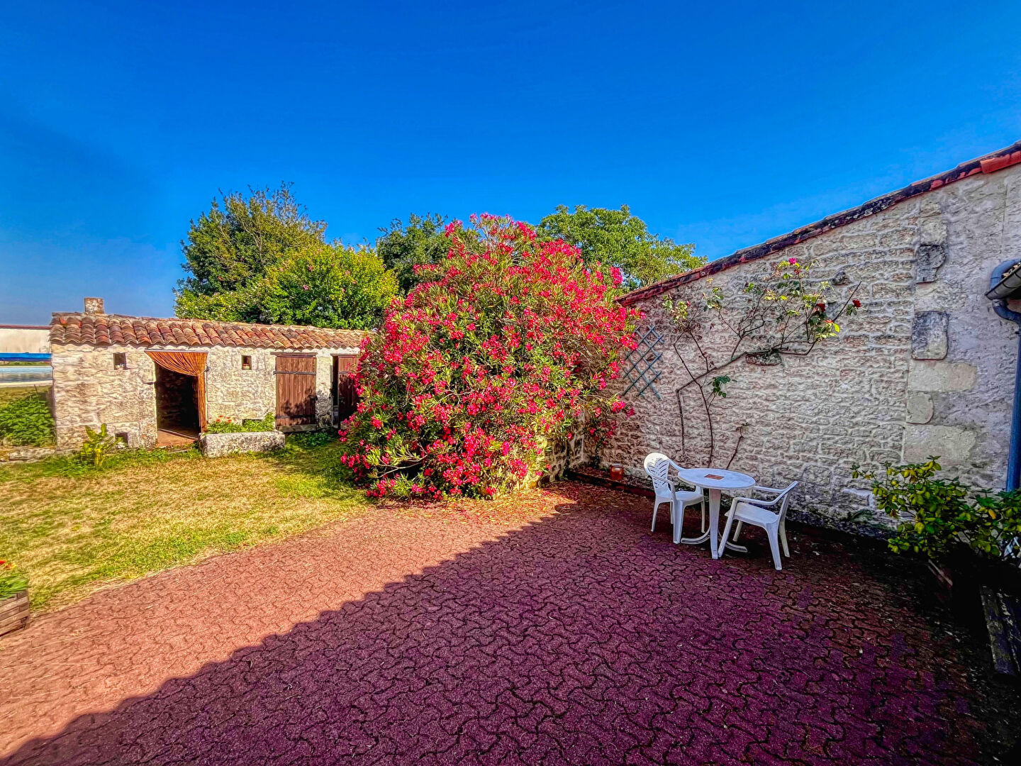 Agence immobilière de AGENCE DES TILLEULS Royan