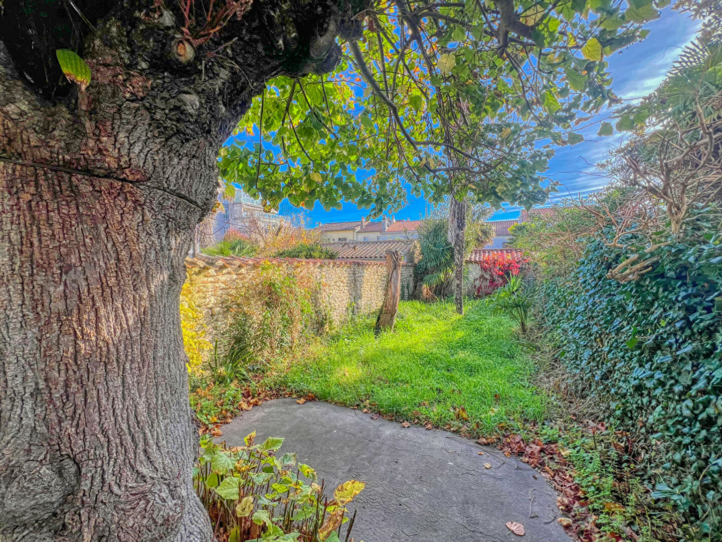 Agence immobilière de AGENCE DES TILLEULS Royan