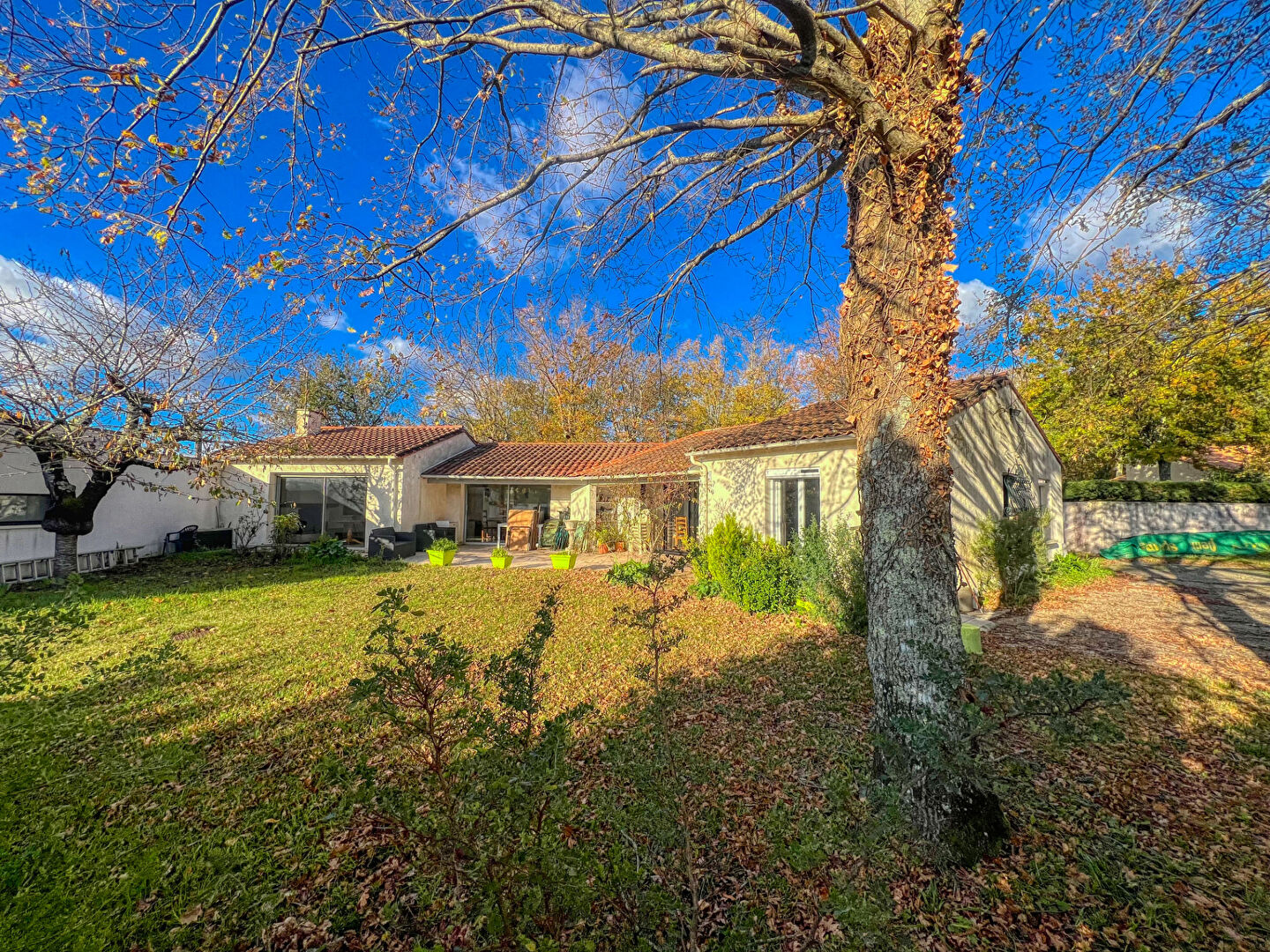 Agence immobilière de AGENCE DES TILLEULS Royan