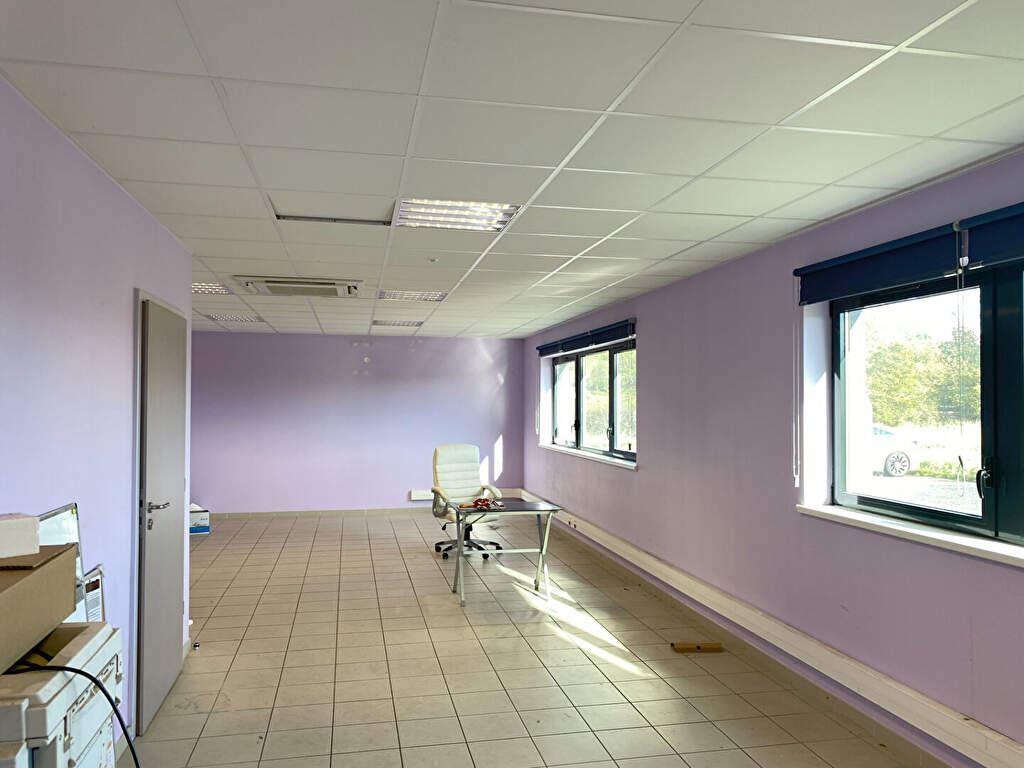 Photo ENTREPOT INDUSTRIEL-976 m2 image 6/6