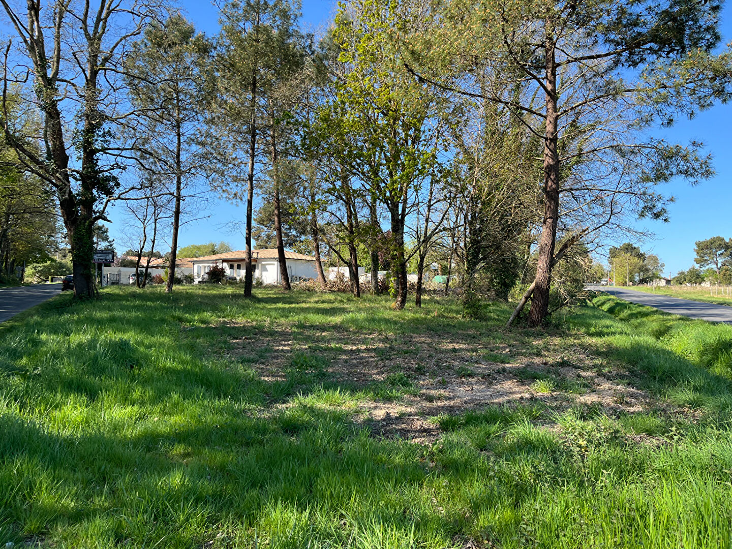 Photo Terrain Lesparre Medoc 1149 m2 image 2/2