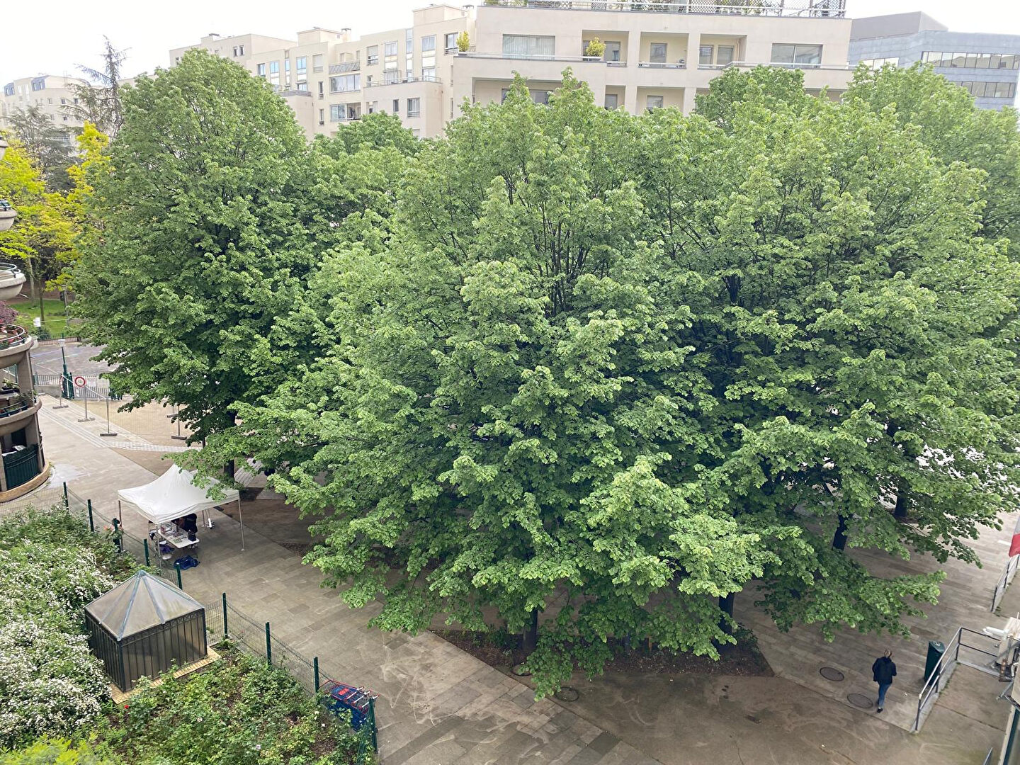 Photo Appartement Charenton Le Pont 3 pièce(s) image 6/6