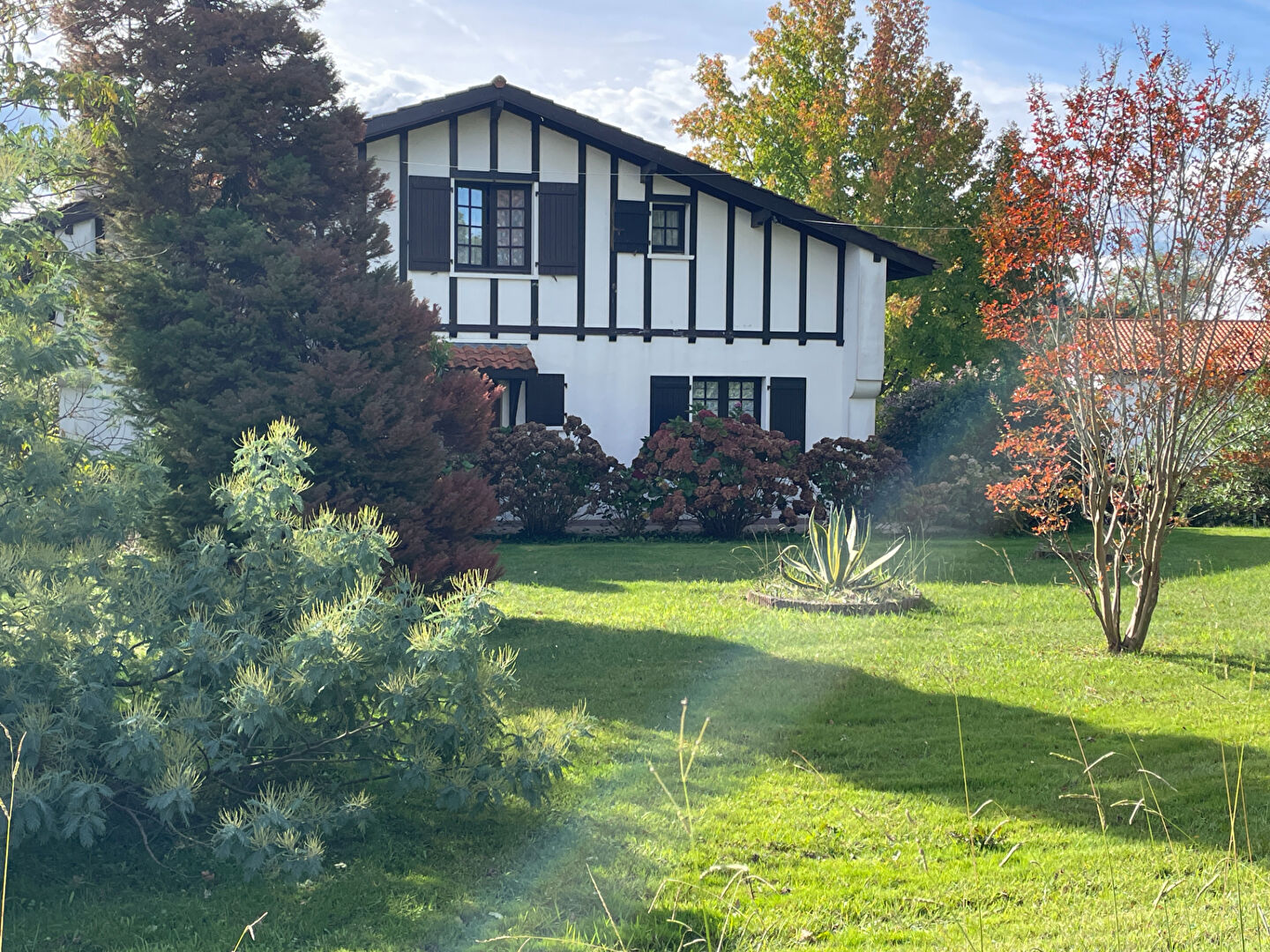 Agence immobilière de NADIA MERRIEN IMMOBILIER Urcuit - Agence NM IMMOBILIER