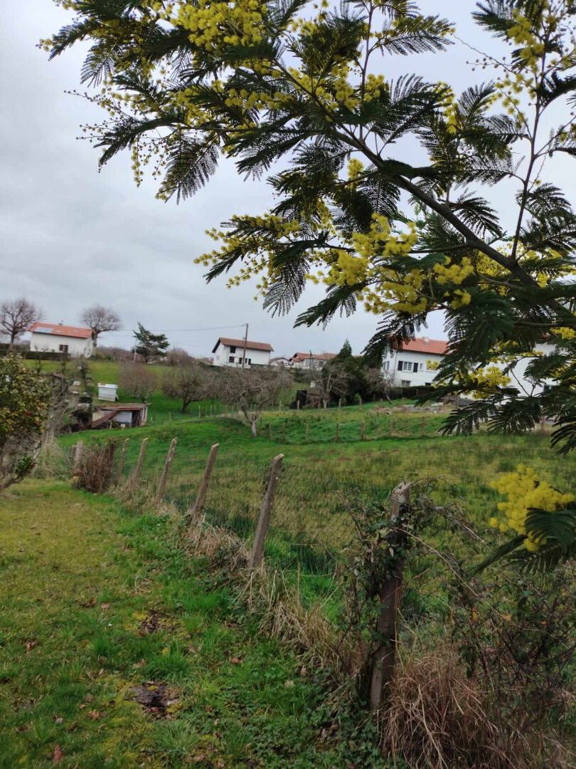 Photo Terrain Urcuit 842 m2 image 2/3