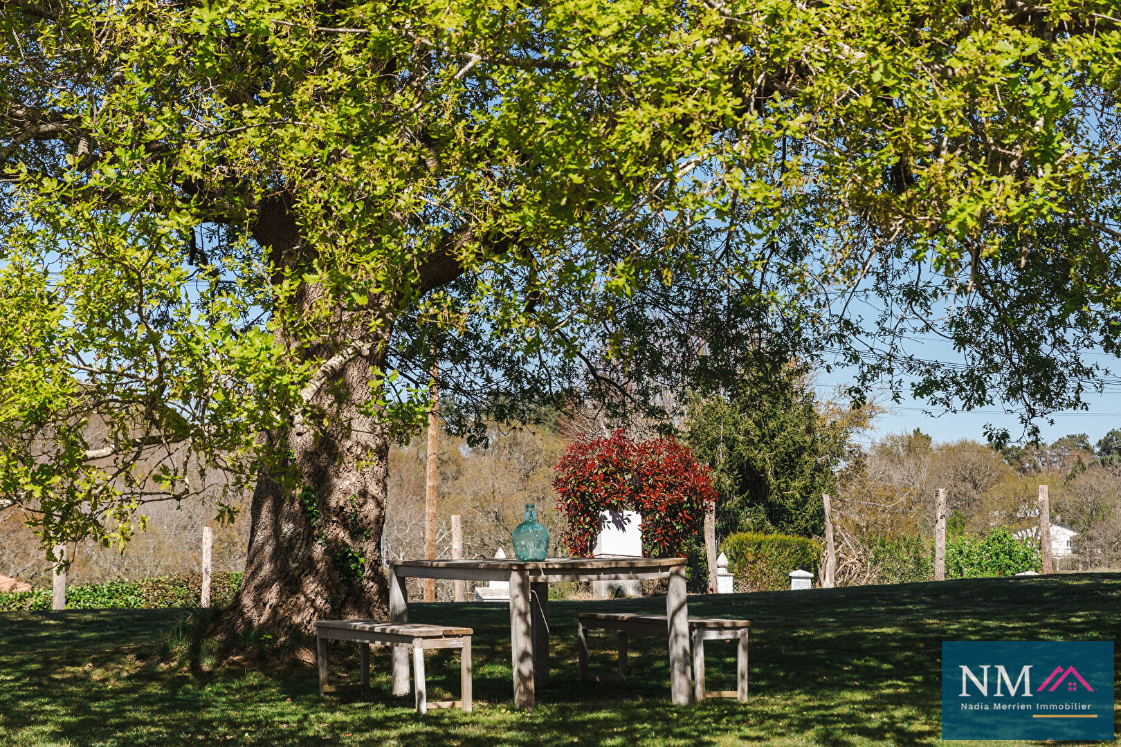 Photo Villa Urcuit 9 pièce(s) 225.5 m2 image 3/6