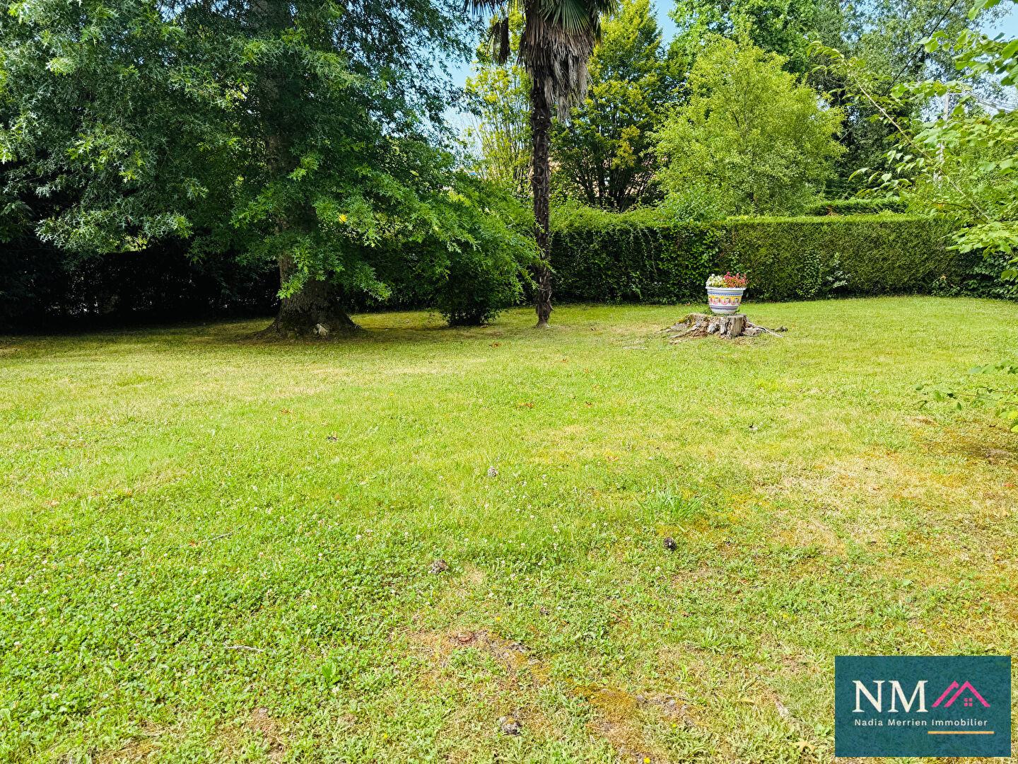 Photo Charme andalou, Spacieuse maison familiale avec cheminée, terrasse et jardin image 3/6