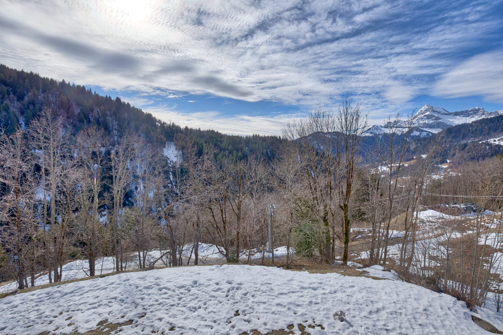 Photo GRAND STUDIO EN EXPOSITION SUD image 5/6