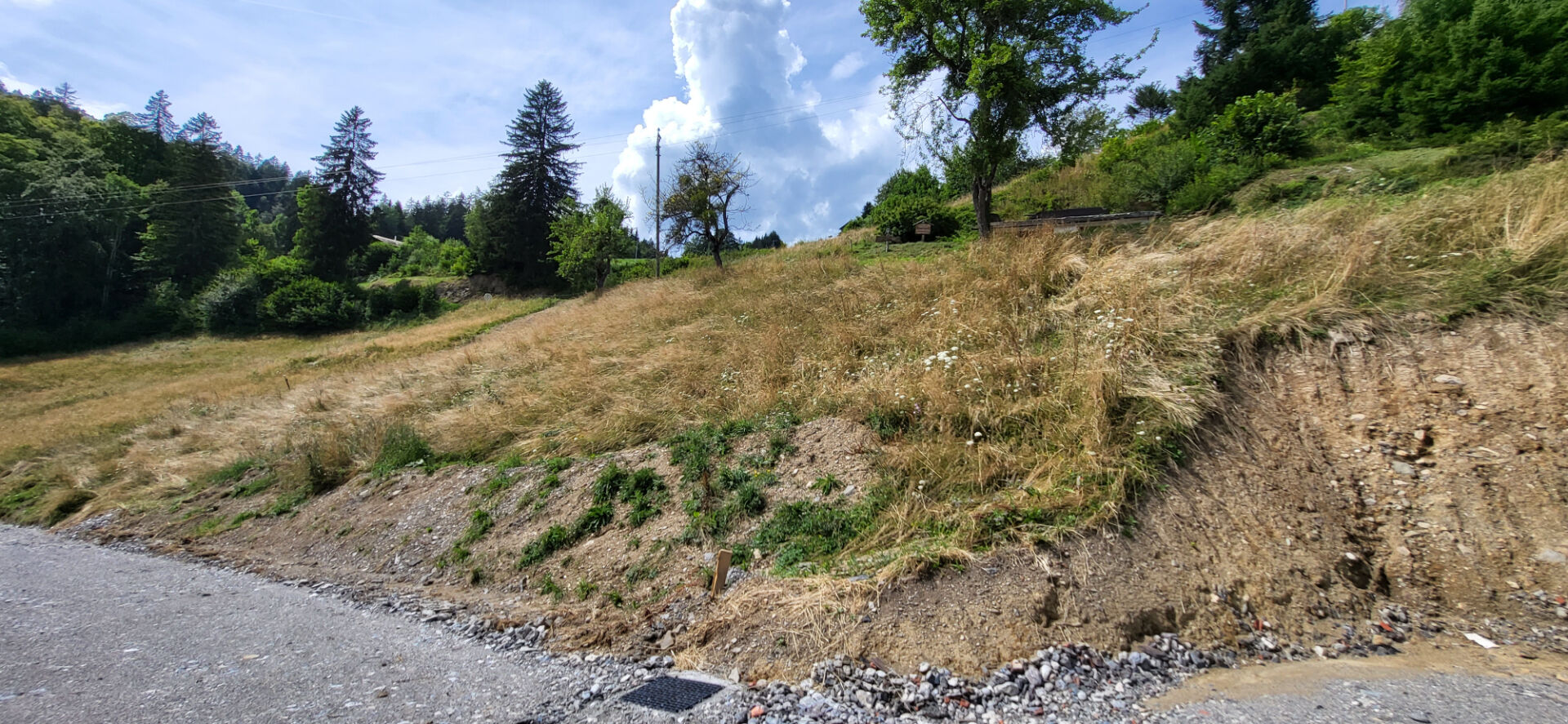 Photo PARCELLE DE TERRAIN A BATIR D'UNE CONTENANCE DE  825m² image 4/5