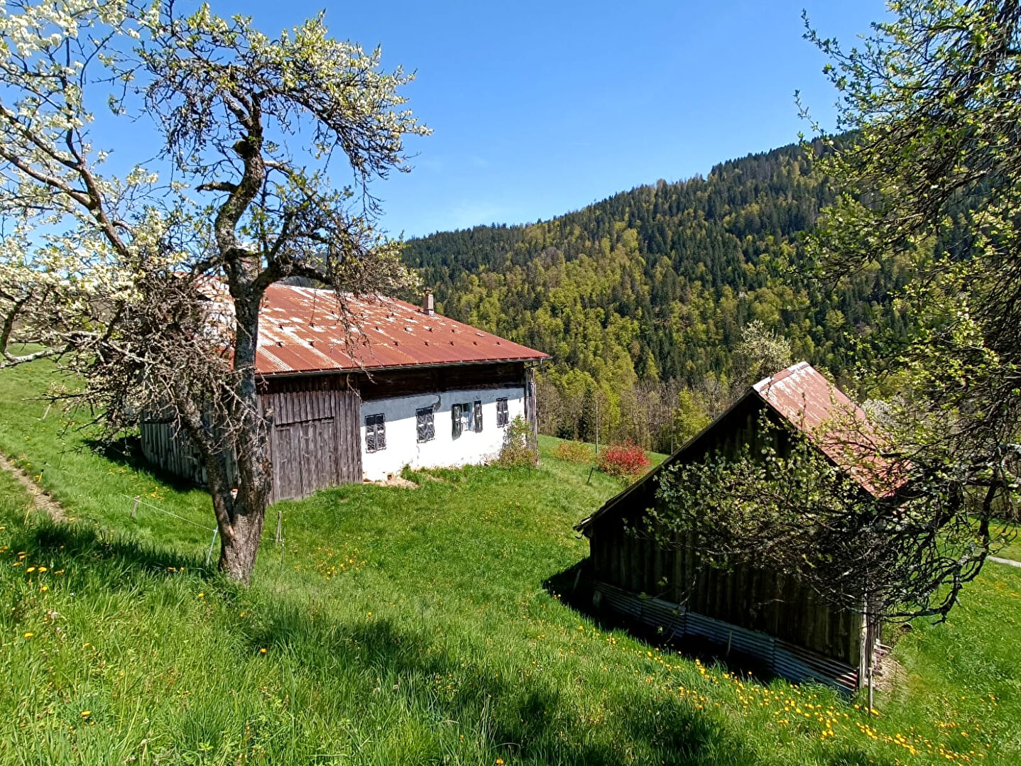 Photo SPLENDIDE DOMAINE COMPOSE D'UNE FERME AUTHENTIQUE ET SES NOMBREUSES DEPENDANCES image 5/6