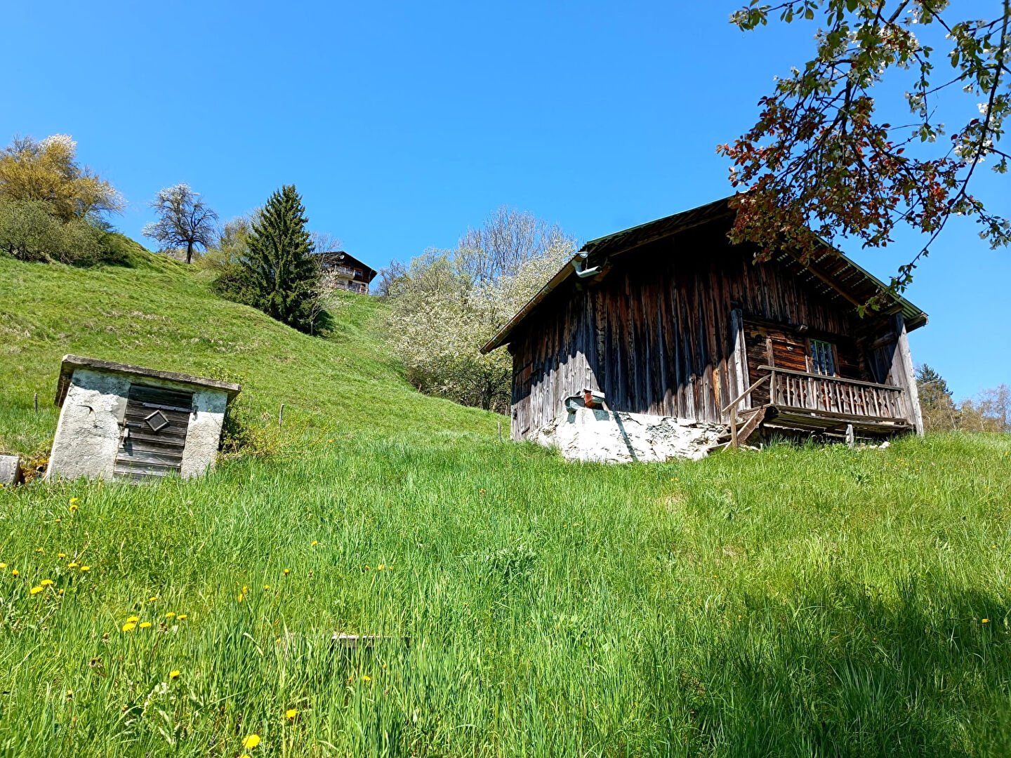 Photo SPLENDIDE DOMAINE COMPOSE D'UNE FERME AUTHENTIQUE ET SES NOMBREUSES DEPENDANCES image 6/6