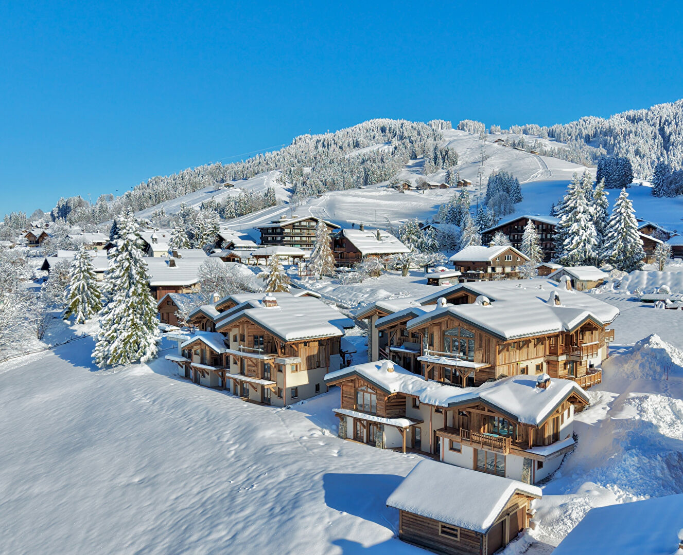 Agence immobilière de AGENCE IMMO SERVICES Notre dame de bellecombe - AGENCE IMMO SERVICES