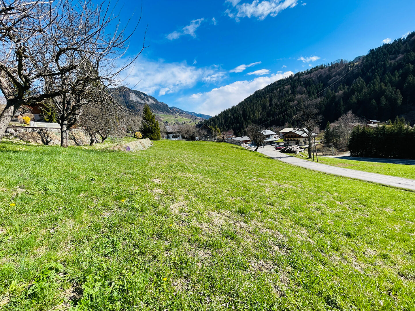 Photo TERRAIN A BATIR LIBRE CONSTRUCTEUR image 4/5