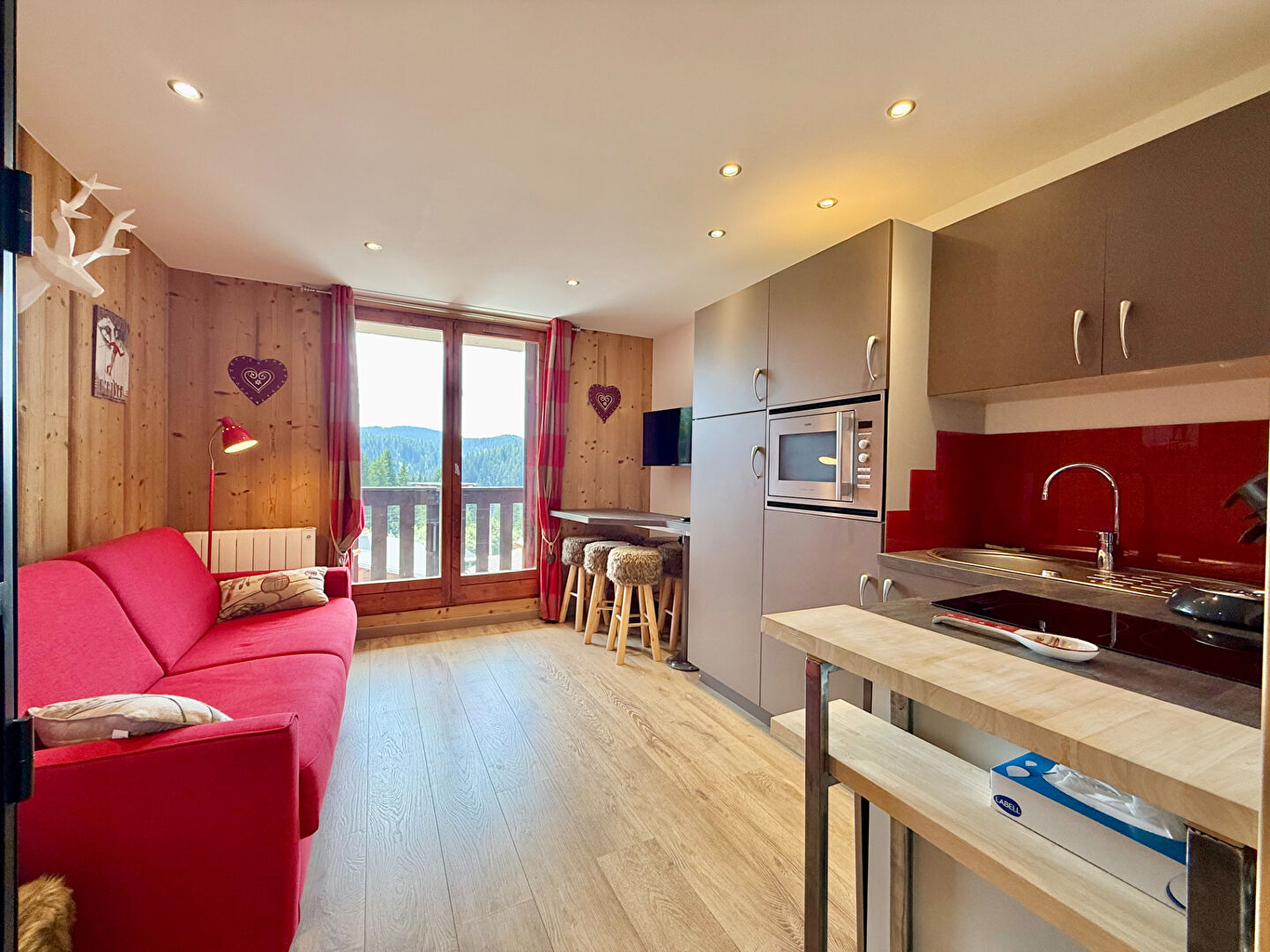 Photo STUDIO DE CARACTERE AU PIED DES PISTES image 2/6