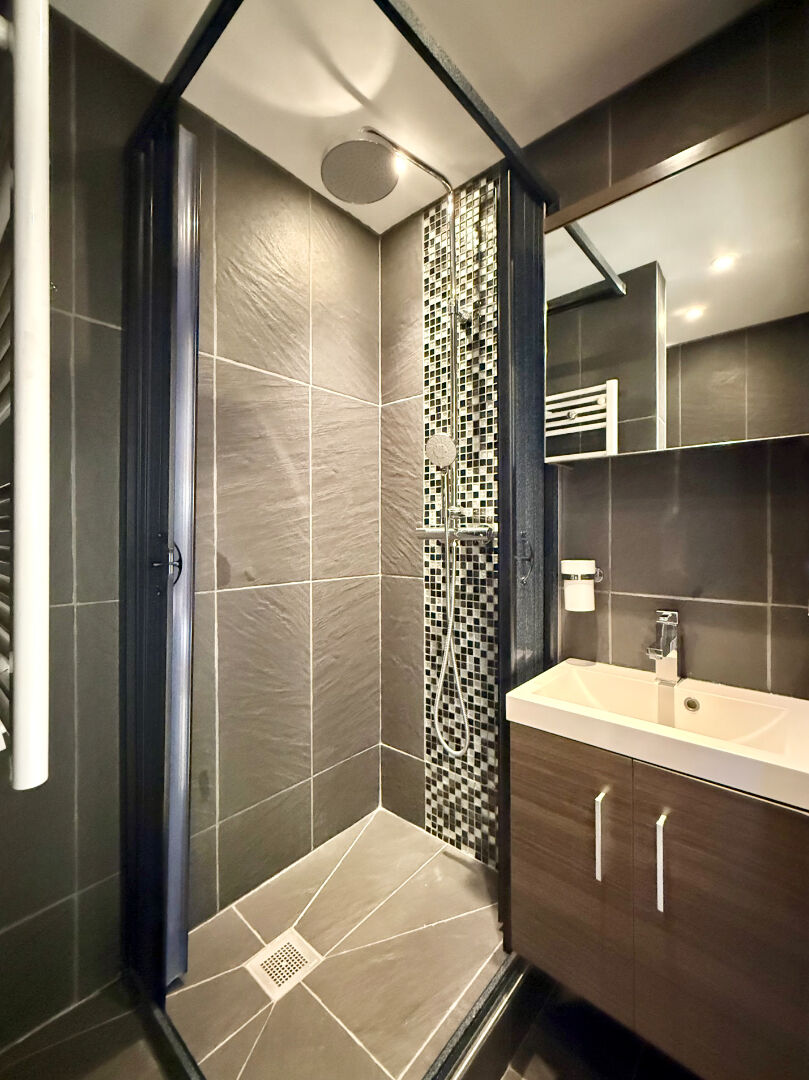 Photo STUDIO DE CARACTERE AU PIED DES PISTES image 6/6