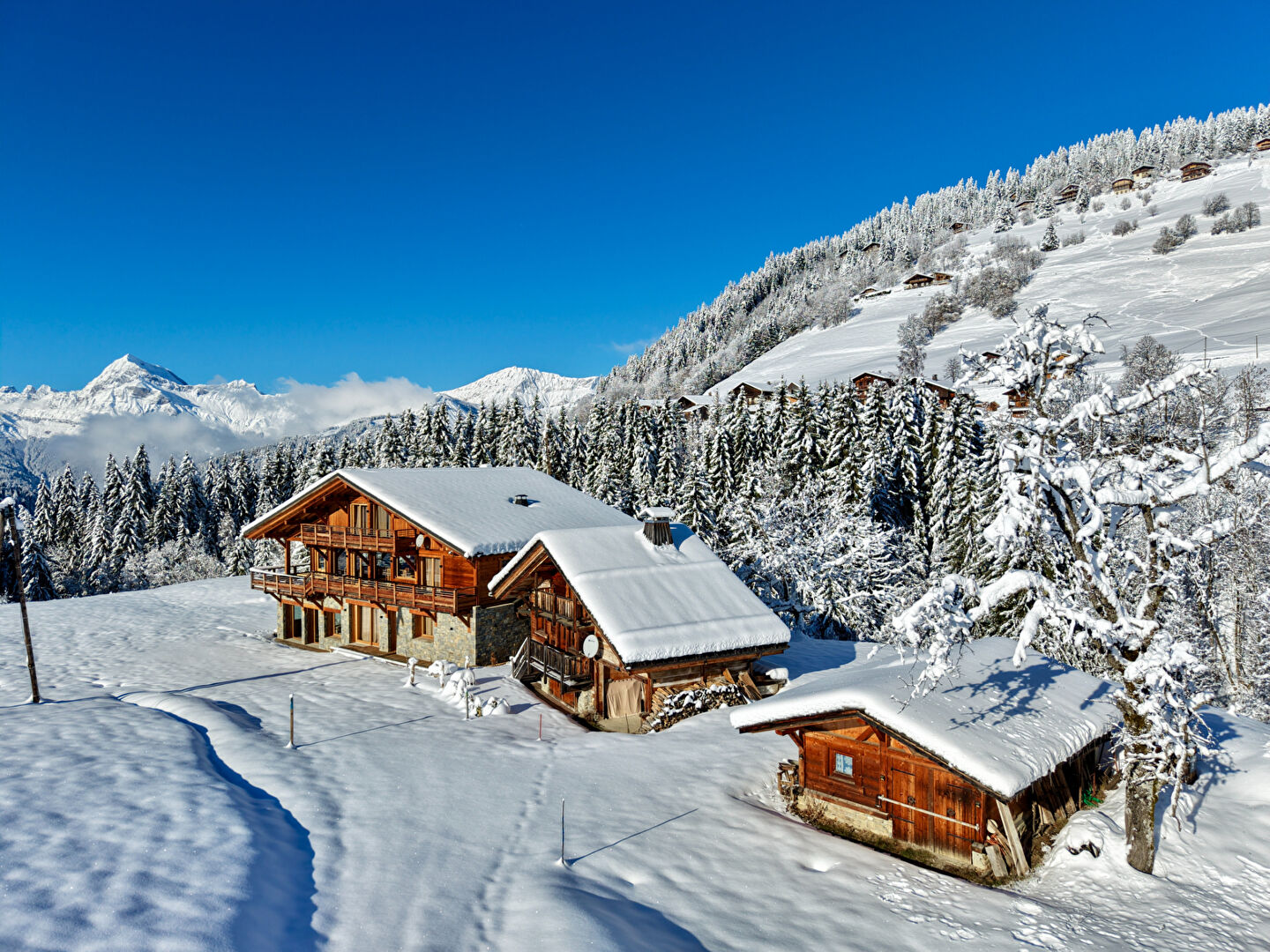 Photo DOMAINE D'EXCEPTION FACE AU MONT CHARVIN image 1/6