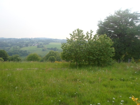 Photo A MASLEON, Terrain constructible de 2767m2 image 4/4