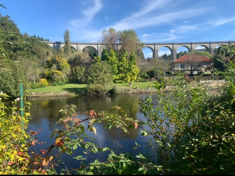 Photo A SAINT LEONARD DE NOBLAT , Immeuble 5 appartements image 3/6