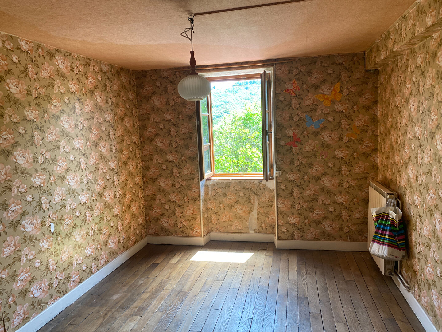 Photo PROCHE AMBAZAC, image 2/5