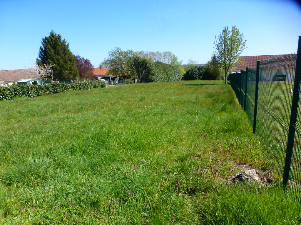 Photo Terrain à bâtir à 5min de Montier-en-Der image 2/3