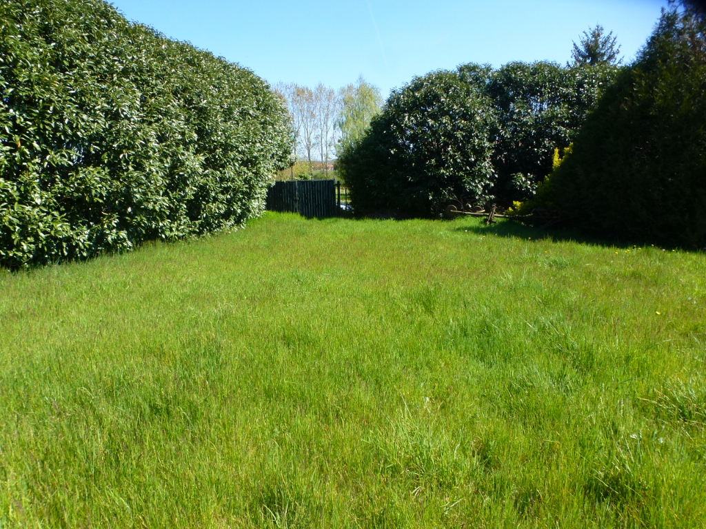 Photo Terrain à bâtir à 5min de Montier-en-Der image 3/3